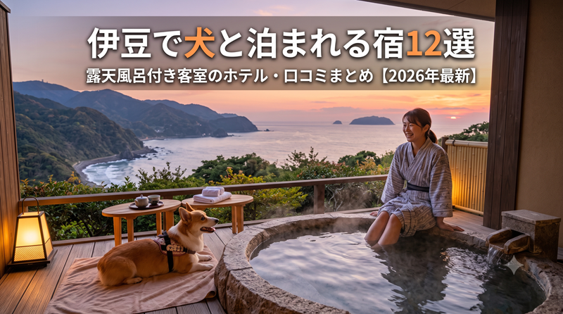 izu-dog-hotel